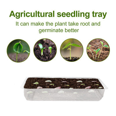 Bandeja Transparente de Germinación para Semillas y Cultivo de Plantas - Image 14