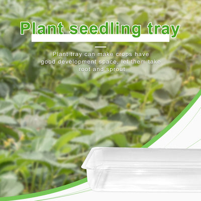 Bandeja Transparente de Germinación para Semillas y Cultivo de Plantas - Image 16