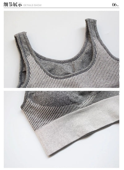 Conjunto Deportivo Sin Costuras Otoño Invierno - Image 13