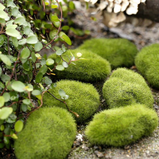 Musgo Artificial Decorativo para Paisajes en Miniatura y Jardines - Image 8