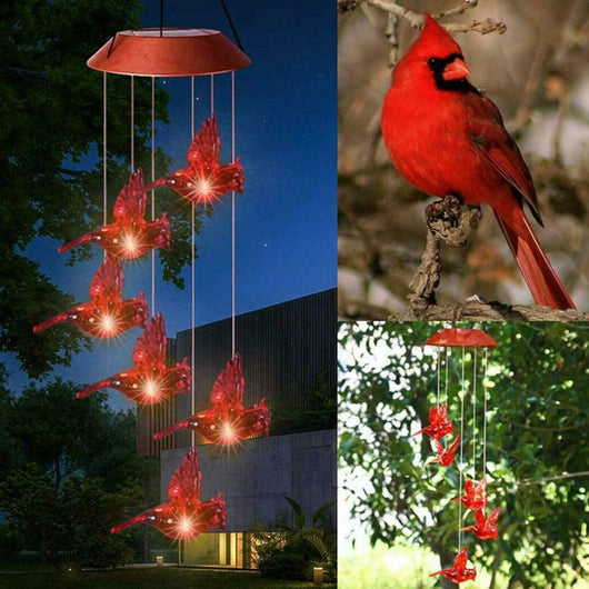 Lámpara Solar Decorativa con Diseño de Pájaro y Llama - Farola LED Colorida - Image 10