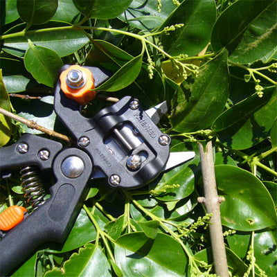 Tijeras de Injerto Profesionales para Jardinería - Image 3