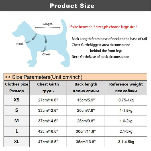 Ropa para Perros Pequeños - Disfraz Osito Teddy - Image 7