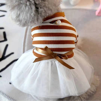 Ropa para Perros Pequeños - Disfraz Osito Teddy - Image 9