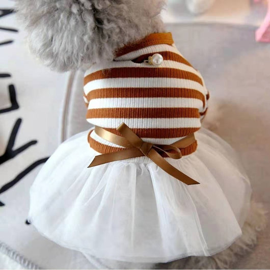 Ropa para Perros Pequeños - Disfraz Osito Teddy - Image 9