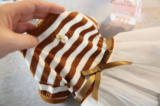 Ropa para Perros Pequeños - Disfraz Osito Teddy - Image 10