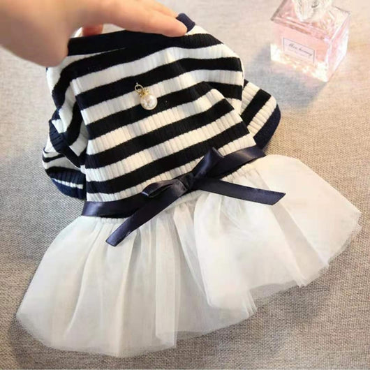 Ropa para Perros Pequeños - Disfraz Osito Teddy - Image 11