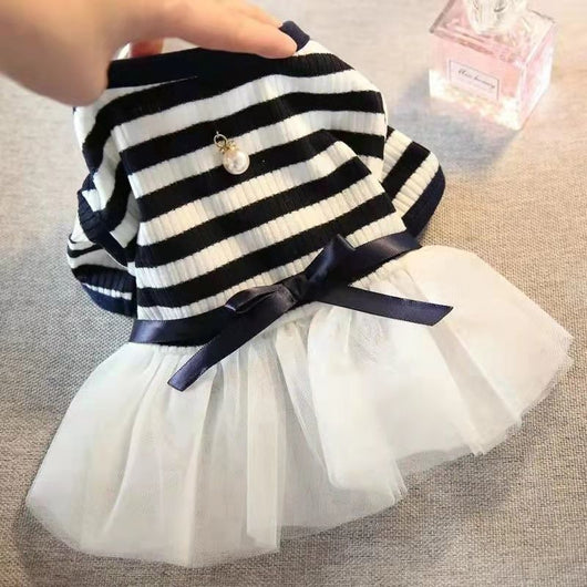 Ropa para Perros Pequeños - Disfraz Osito Teddy - Image 12