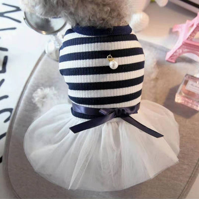 Ropa para Perros Pequeños - Disfraz Osito Teddy - Image 13
