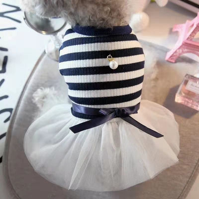Ropa para Perros Pequeños - Disfraz Osito Teddy - Image 14