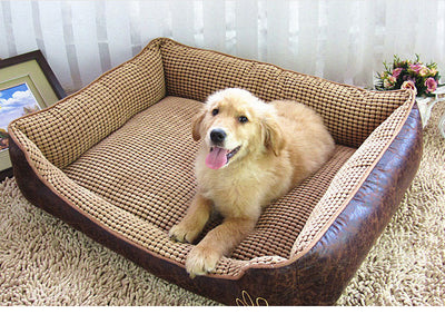 Cama Ortopédica para Perros con Camada Absorbente - Image 3