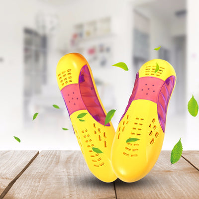Secador de Zapatos Automático