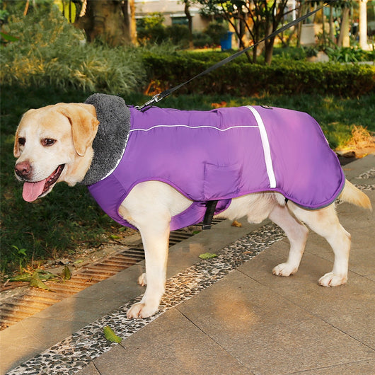 Chaleco Térmico Acolchado para Perros - Image 33