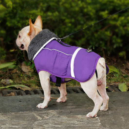 Chaleco Térmico Acolchado para Perros - Image 32
