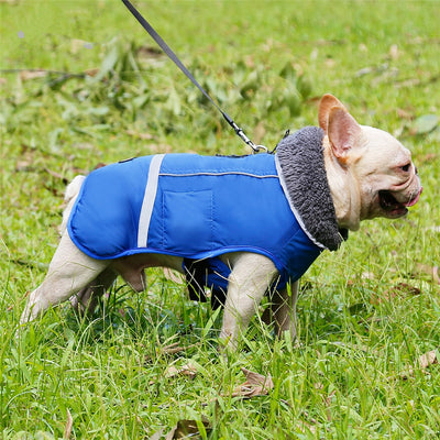 Chaleco Térmico Acolchado para Perros - Image 29
