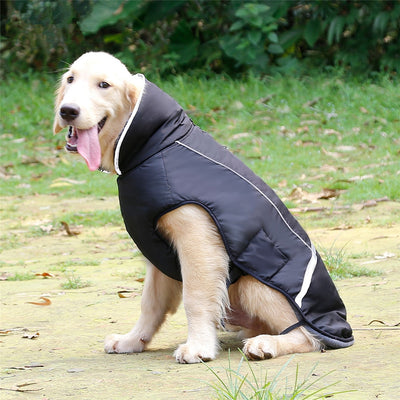 Chaleco Térmico Acolchado para Perros - Image 26