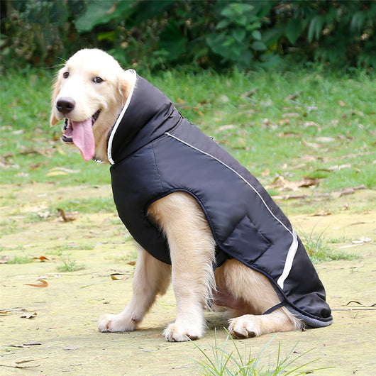 Chaleco Térmico Acolchado para Perros - Image 26
