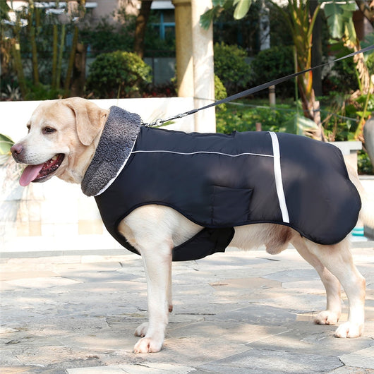 Chaleco Térmico Acolchado para Perros - Image 24