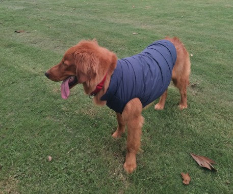 Ropa de Abrigo para Perros Pequeños y Medianos - Chaleco Térmico Otoño Invierno - Image 24