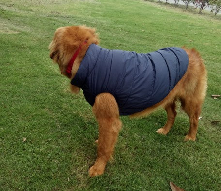 Ropa de Abrigo para Perros Pequeños y Medianos - Chaleco Térmico Otoño Invierno - Image 23