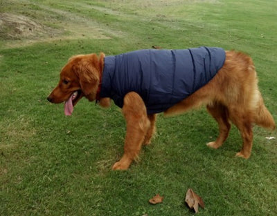 Ropa de Abrigo para Perros Pequeños y Medianos - Chaleco Térmico Otoño Invierno - Image 22