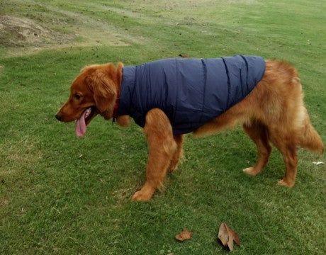 Ropa de Abrigo para Perros Pequeños y Medianos - Chaleco Térmico Otoño Invierno - Image 22