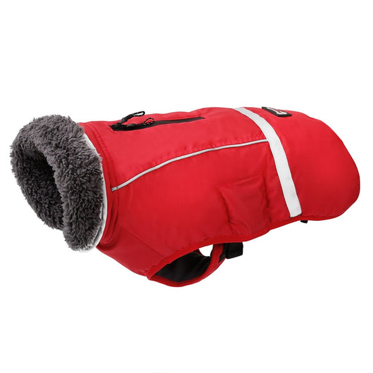 Chaleco Térmico Acolchado para Perros - Image 13