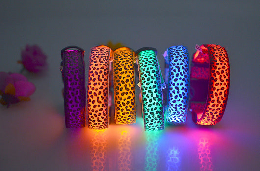 Collar LED Ajustable para Perros con Diseño Leopardo - Seguridad Nocturna - Image 50