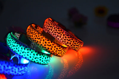 Collar LED Ajustable para Perros con Diseño Leopardo - Seguridad Nocturna - Image 48