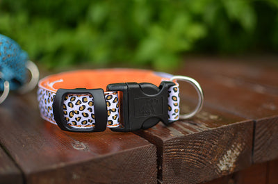 Collar LED Ajustable para Perros con Diseño Leopardo - Seguridad Nocturna - Image 37