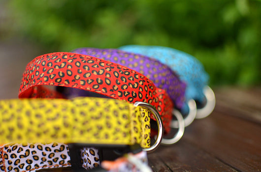 Collar LED Ajustable para Perros con Diseño Leopardo - Seguridad Nocturna - Image 35