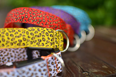 Collar LED Ajustable para Perros con Diseño Leopardo - Seguridad Nocturna - Image 34