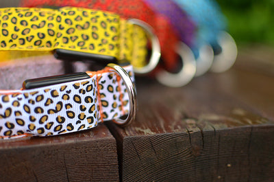 Collar LED Ajustable para Perros con Diseño Leopardo - Seguridad Nocturna - Image 33