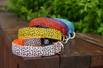 Collar LED Ajustable para Perros con Diseño Leopardo - Seguridad Nocturna - Image 32