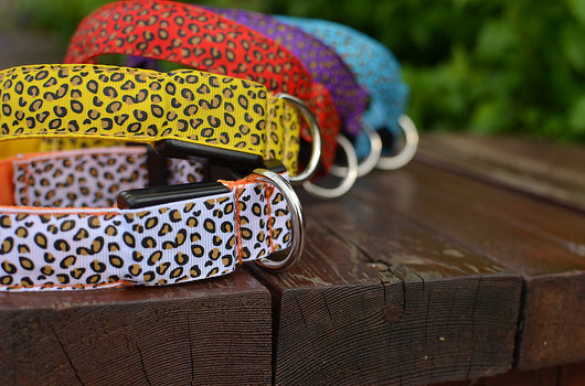 Collar LED Ajustable para Perros con Diseño Leopardo - Seguridad Nocturna - Image 31
