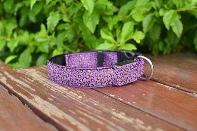 Collar LED Ajustable para Perros con Diseño Leopardo - Seguridad Nocturna - Image 29