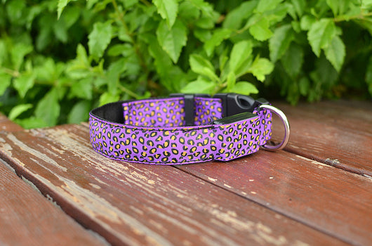 Collar LED Ajustable para Perros con Diseño Leopardo - Seguridad Nocturna - Image 29