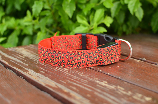 Collar LED Ajustable para Perros con Diseño Leopardo - Seguridad Nocturna - Image 28