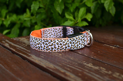 Collar LED Ajustable para Perros con Diseño Leopardo - Seguridad Nocturna - Image 26
