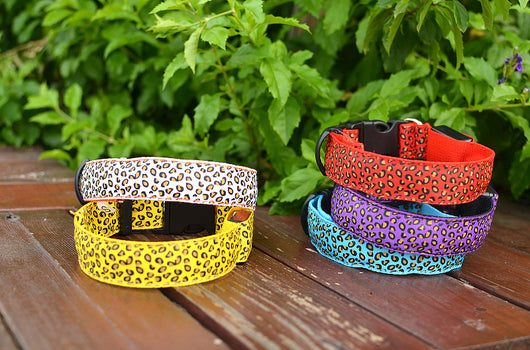 Collar LED Ajustable para Perros con Diseño Leopardo - Seguridad Nocturna - Image 25
