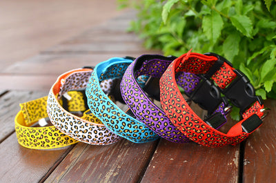 Collar LED Ajustable para Perros con Diseño Leopardo - Seguridad Nocturna - Image 24