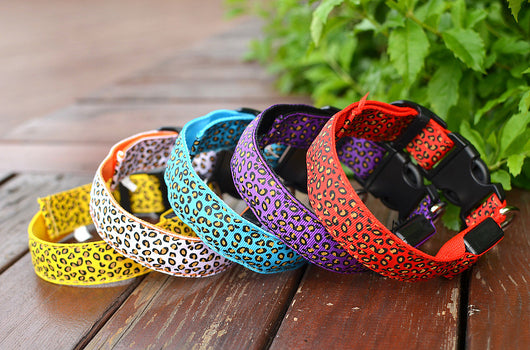 Collar LED Ajustable para Perros con Diseño Leopardo - Seguridad Nocturna - Image 24
