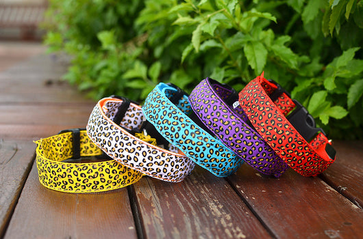 Collar LED Ajustable para Perros con Diseño Leopardo - Seguridad Nocturna - Image 23