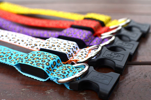 Collar LED Ajustable para Perros con Diseño Leopardo - Seguridad Nocturna - Image 21