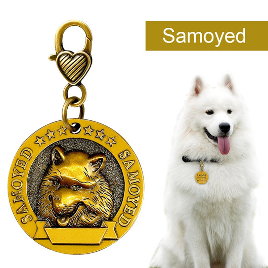Placa de Identificación para Perros Grabada en Metal - Antiloss - Image 20