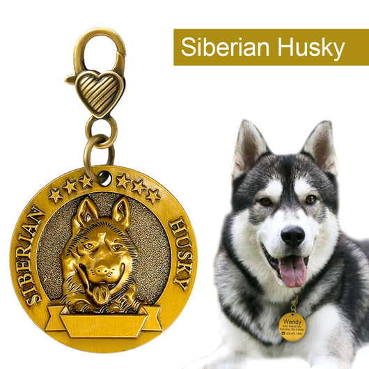 Placa de Identificación para Perros Grabada en Metal - Antiloss - Image 19