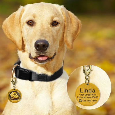 Placa de Identificación para Perros Grabada en Metal - Antiloss - Image 18