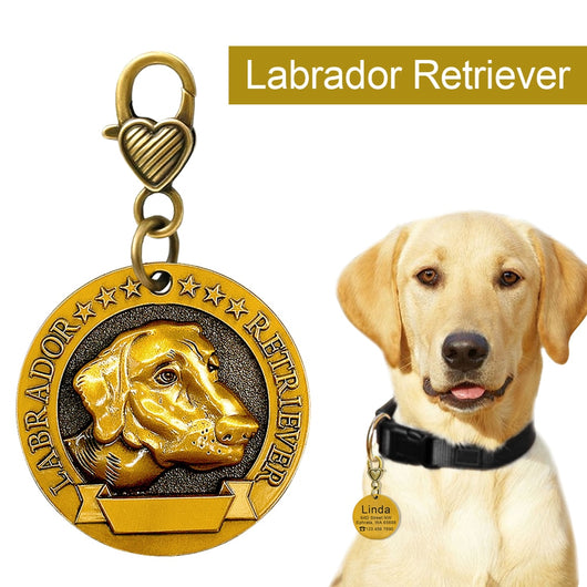 Placa de Identificación para Perros Grabada en Metal - Antiloss - Image 17