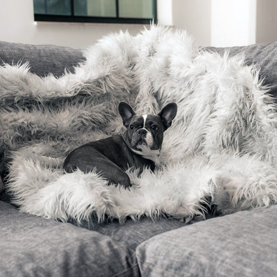 Cama Térmica Premium para Perros - Almohadilla Gruesa de Invierno - Image 10
