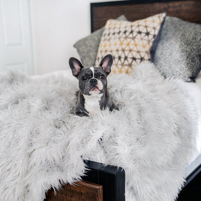 Cama Térmica Premium para Perros - Almohadilla Gruesa de Invierno - Image 12